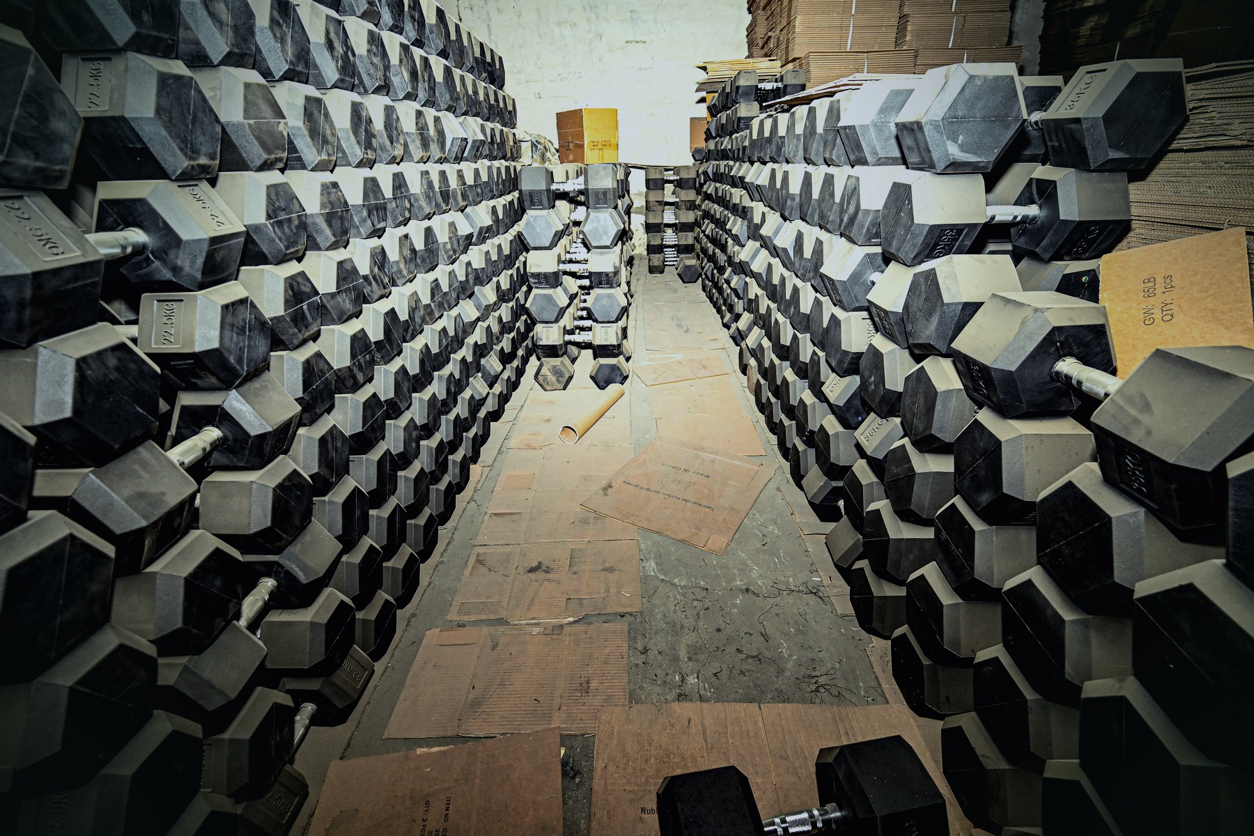 Rubber hex dumbbells stored in rows